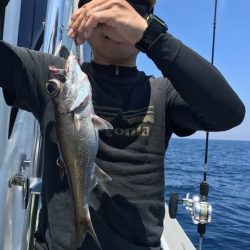 へいみつ丸 釣果