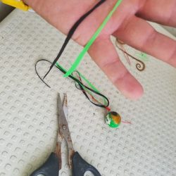 遊漁船 ニライカナイ 釣果