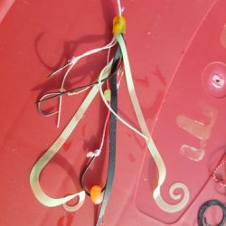 遊漁船 ニライカナイ 釣果