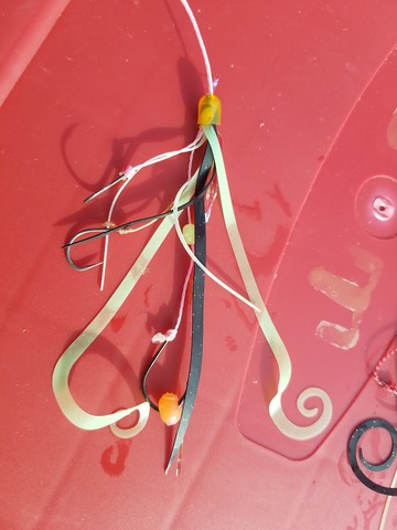 遊漁船 ニライカナイ 釣果