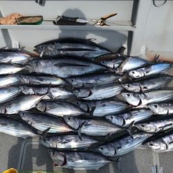 へいみつ丸 釣果