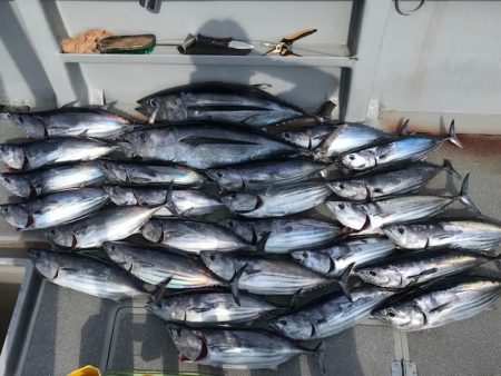 へいみつ丸 釣果