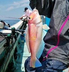 松福丸 釣果