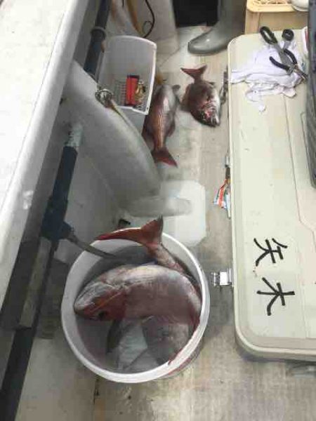 龍宮丸 釣果