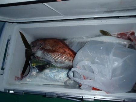 第二むつ漁丸 釣果