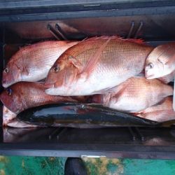 第二むつ漁丸 釣果