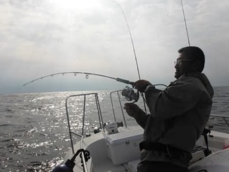開進丸 釣果