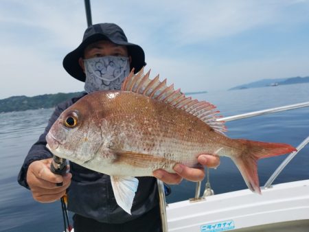 遊漁船 ニライカナイ 釣果