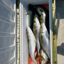 遊漁船 ニライカナイ 釣果