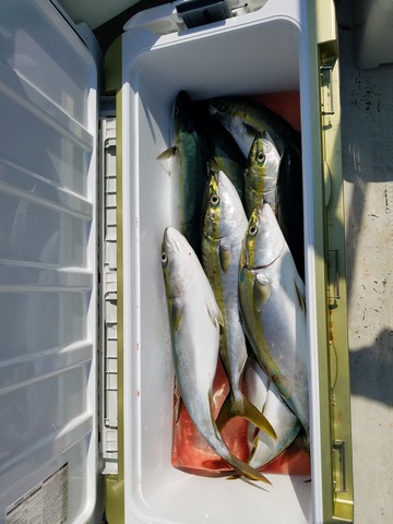 遊漁船 ニライカナイ 釣果