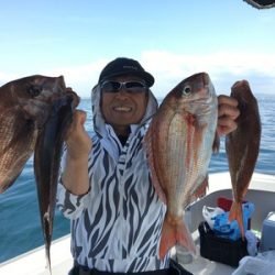 ミタチ丸 釣果
