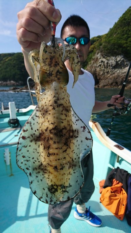 シードリーム 釣果