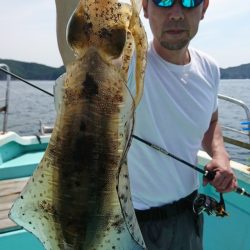 シードリーム 釣果