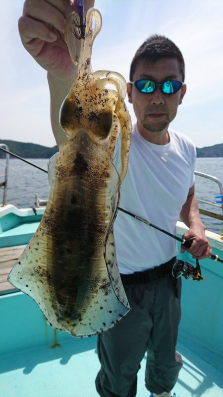 シードリーム 釣果