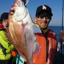 シードリーム 釣果