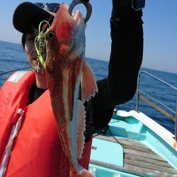 シードリーム 釣果