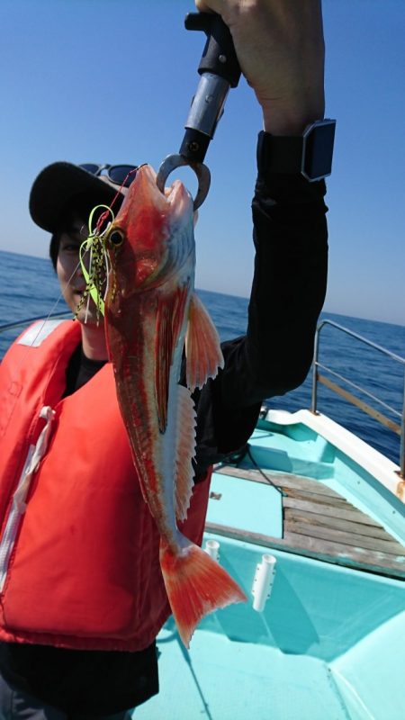 シードリーム 釣果