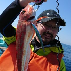 シードリーム 釣果