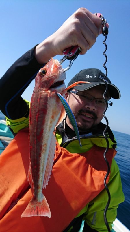 シードリーム 釣果