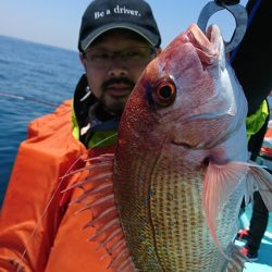 シードリーム 釣果