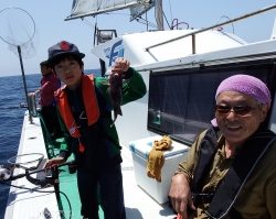 第三むつりょう丸 釣果