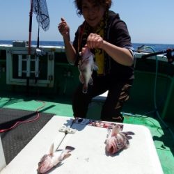 第三むつりょう丸 釣果
