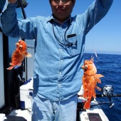 第三むつりょう丸 釣果