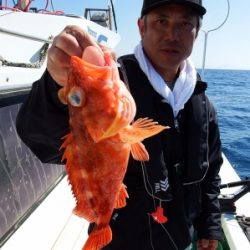 第三むつりょう丸 釣果