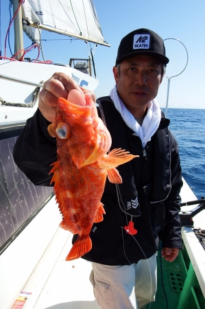 第三むつりょう丸 釣果