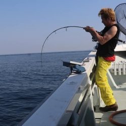 スカイマリン 釣果