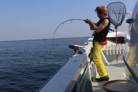 スカイマリン 釣果
