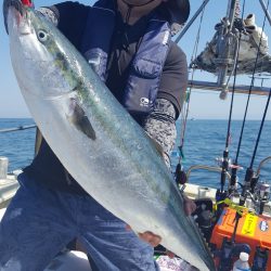 海峰 釣果