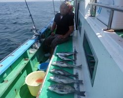 久里浜黒川本家 釣果