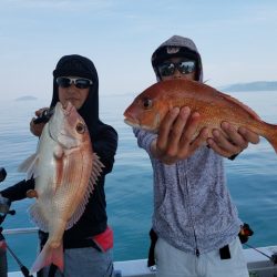 遊漁船 ニライカナイ 釣果