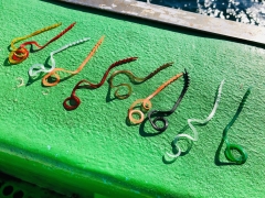 利弥丸(としやまる) 釣果