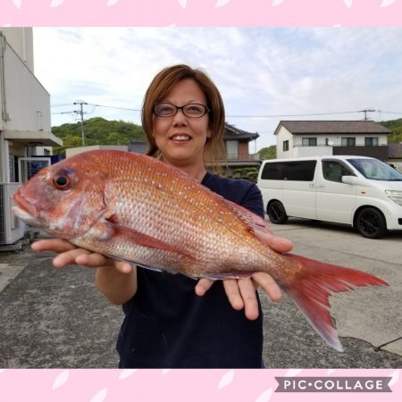 桑田観光 釣果