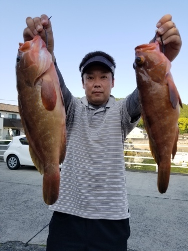 桑田観光 釣果
