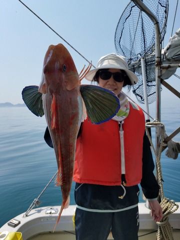 遊漁船　ニライカナイ 釣果