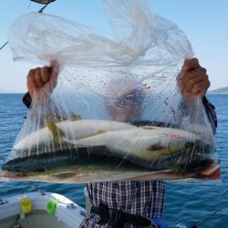 遊漁船 ニライカナイ 釣果