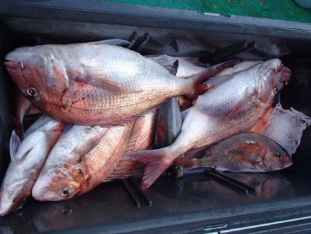 第二むつ漁丸 釣果