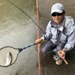 フィッシング サンクチュアリ 釣果