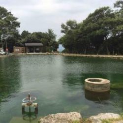 フィッシング サンクチュアリ 釣果