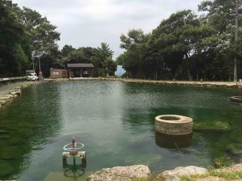 フィッシング サンクチュアリ 釣果