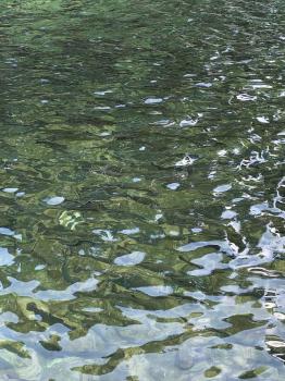 フィッシング サンクチュアリ 釣果