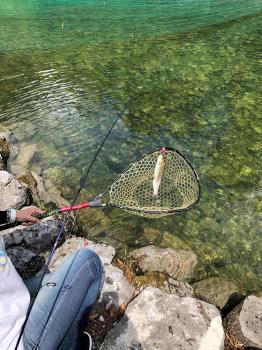 フィッシング サンクチュアリ 釣果