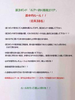 フィッシング サンクチュアリ 釣果