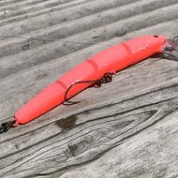 フィッシング サンクチュアリ 釣果