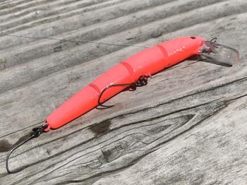 フィッシング サンクチュアリ 釣果