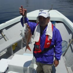 遊漁船 遊友 釣果