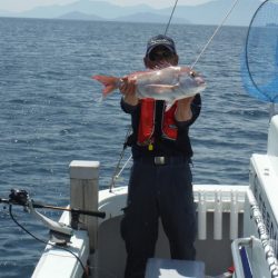 遊漁船 遊友 釣果